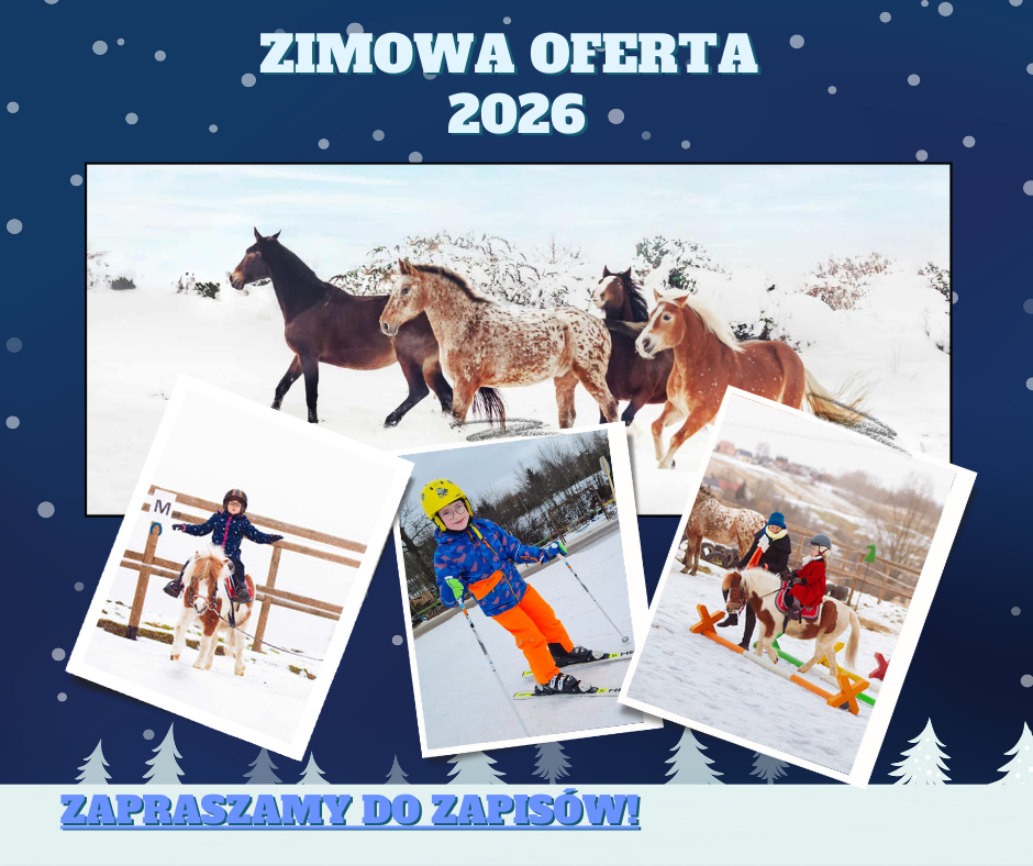 Zimowa oferta 2026